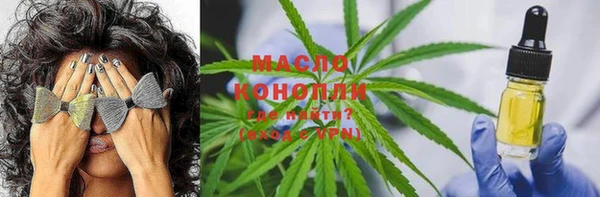 крисы Алзамай