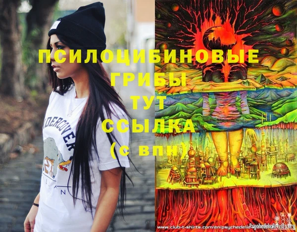 крисы Алзамай